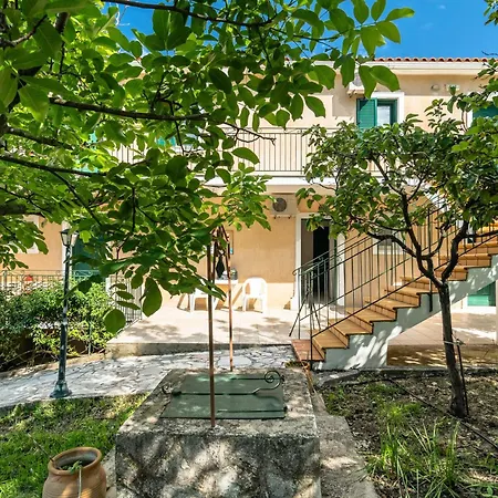 Anemona B Katelios