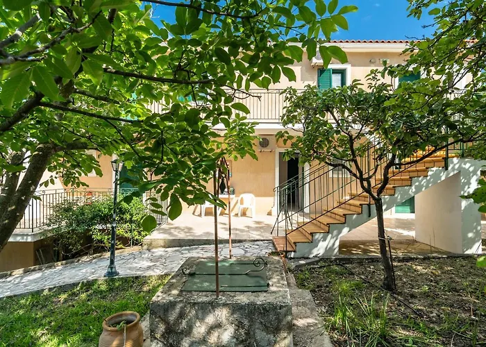 Anemona B
